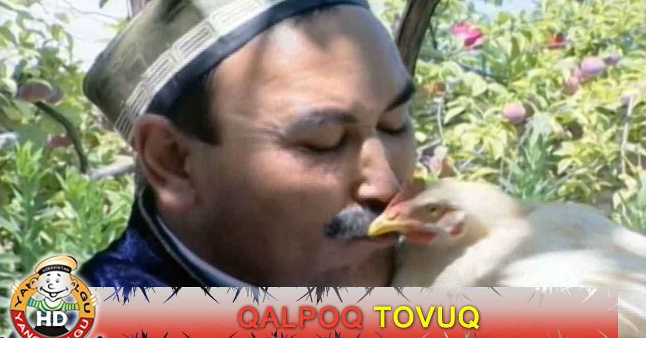 Постер Qalpoq - Tovuq (2015)